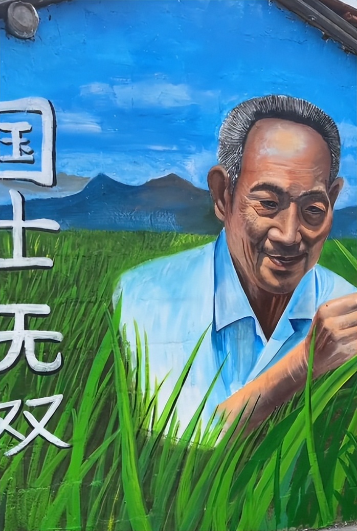 网红帅农鸟哥视频,黑马帅农鸟哥是如何走红的