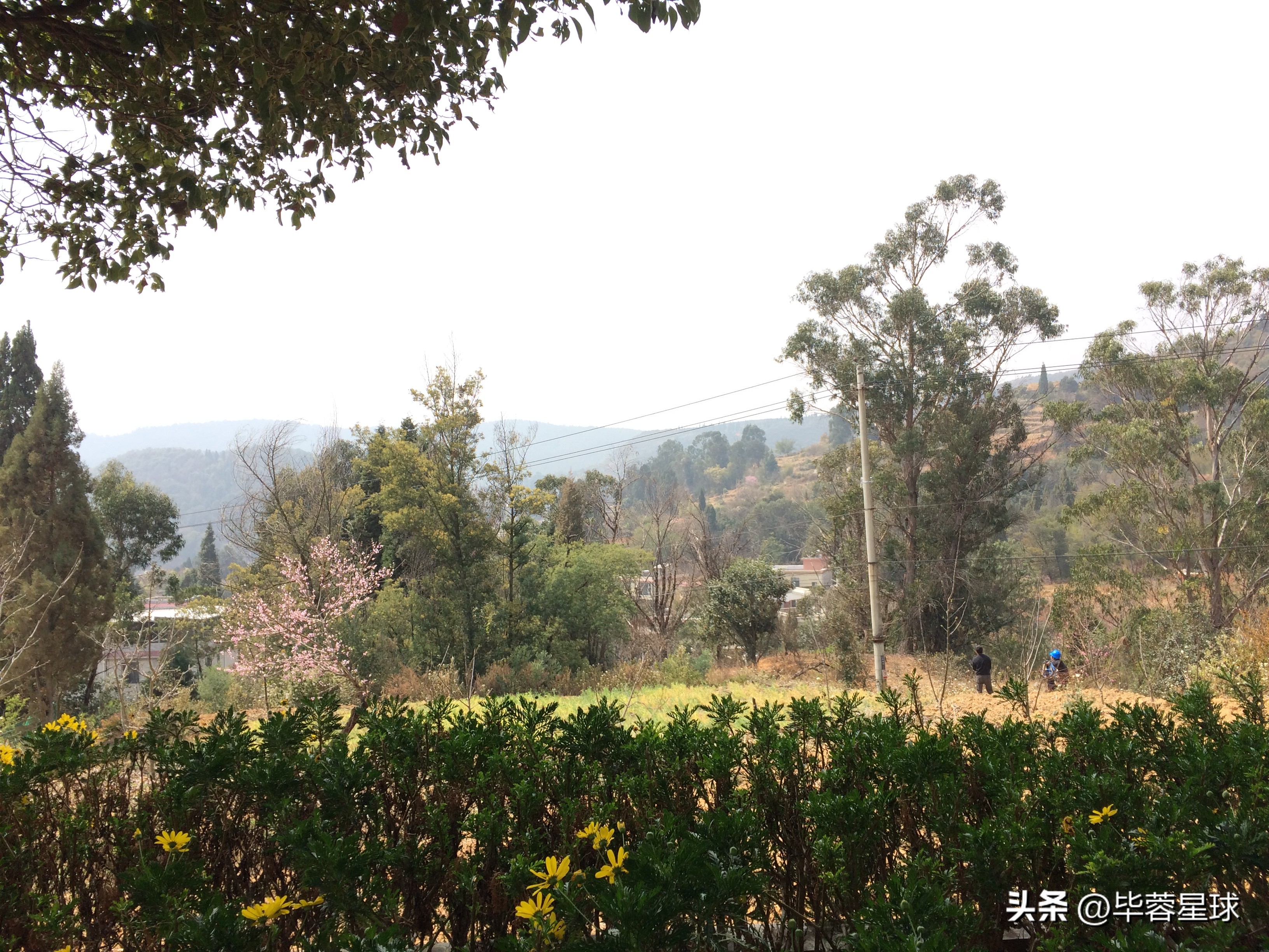 观音山公墓，为外婆下葬的一天，是提醒，是童年青春时代的告别