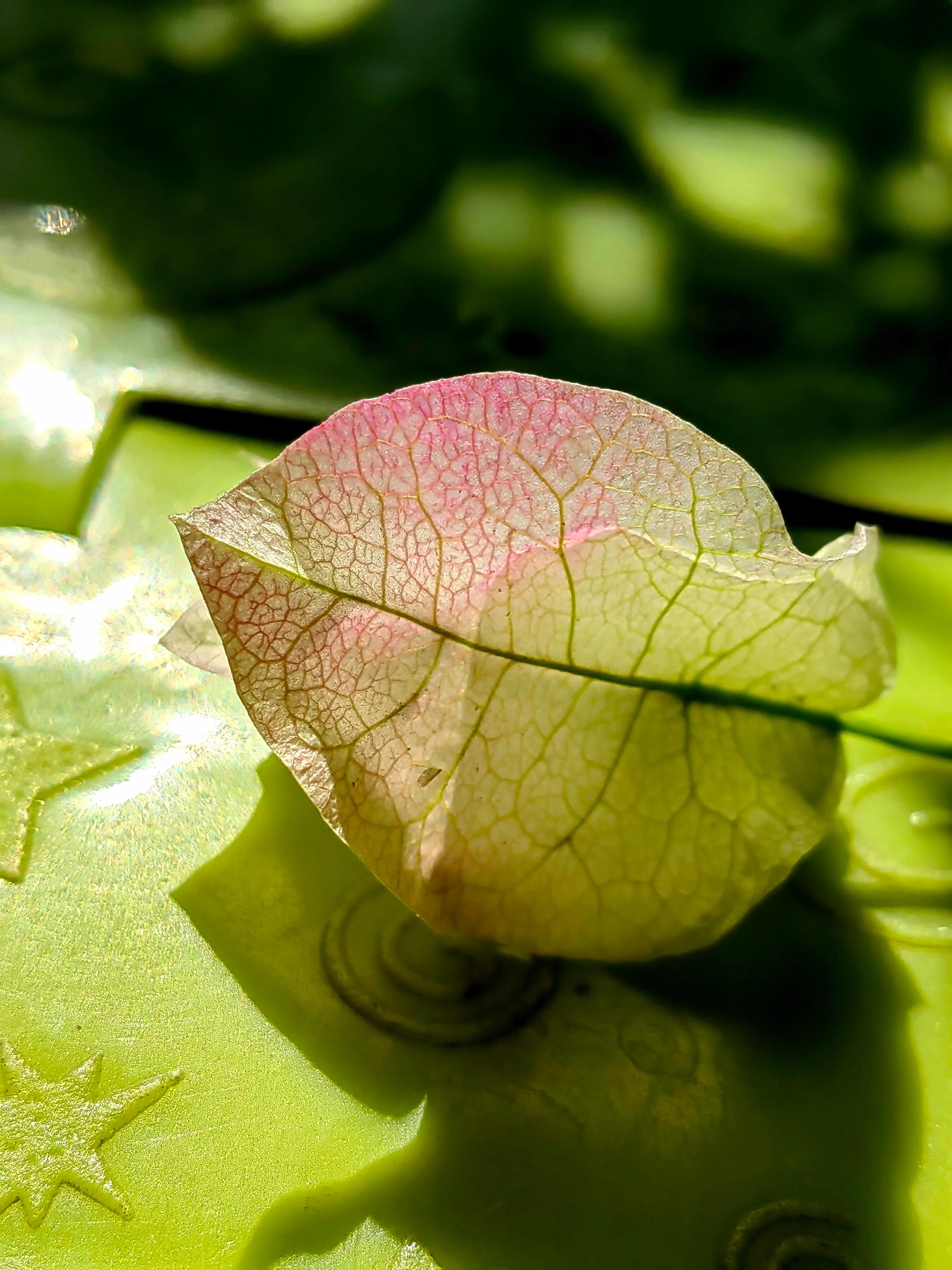 手拍世界手机摄影平台,手拍世界摄影网