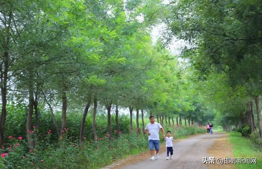 峰峰网红打卡地,寓教于玩幼儿园