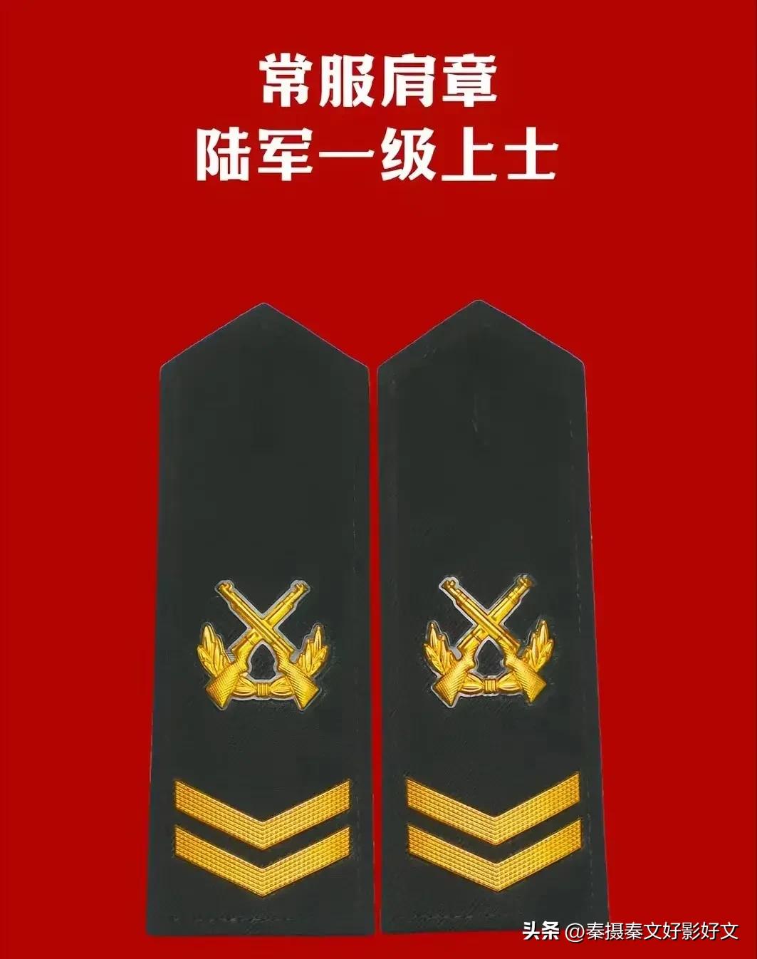 陆海空火箭军*警武**部队全套常服肩章和21式作业服套式肩章