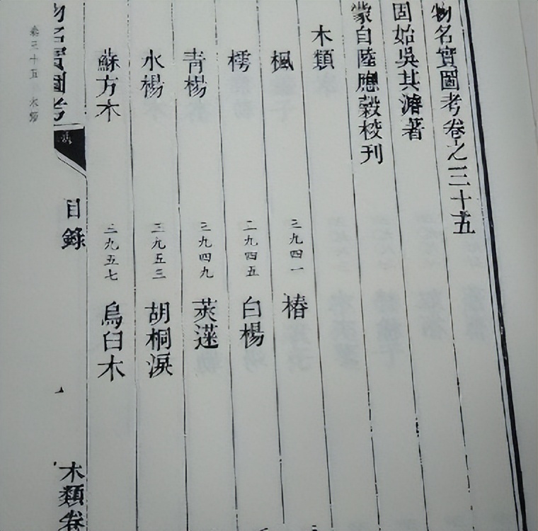 番荔枝要人工传粉吗,番荔枝来自哪里