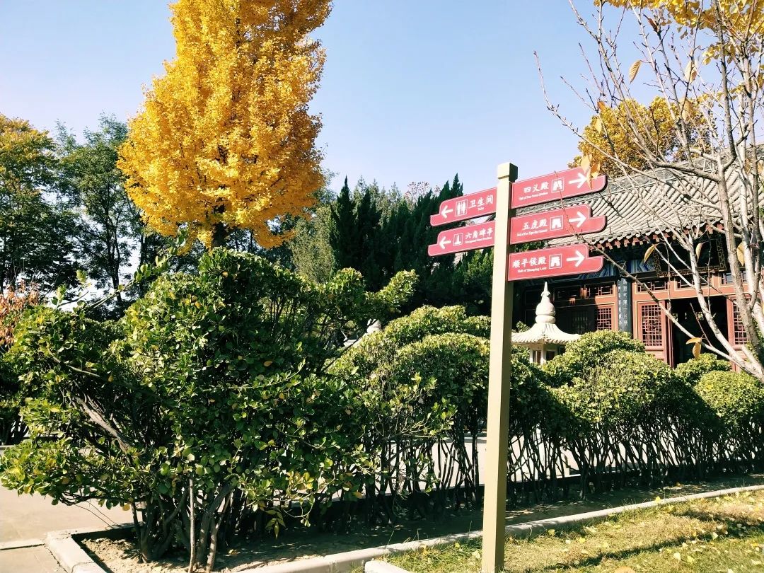 看赵云庙感受,赵云庙景区简介图片欣赏