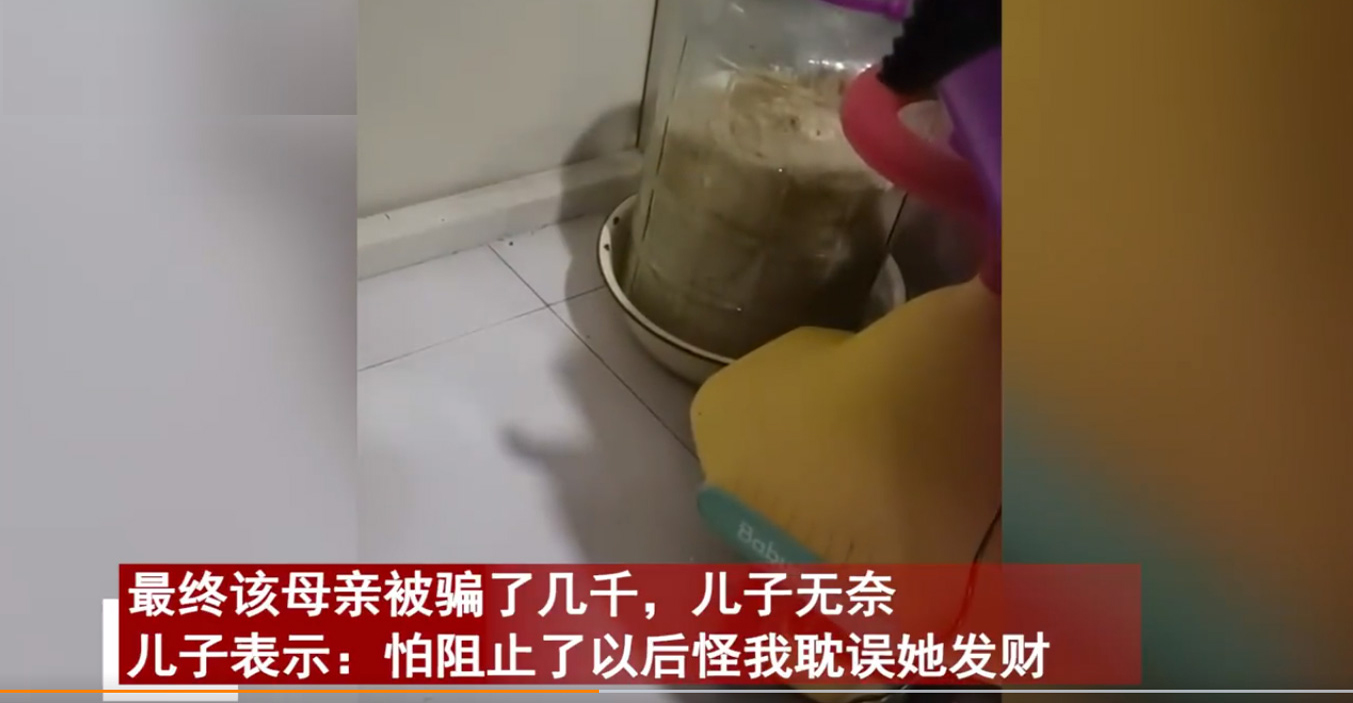 被诈骗的真实案例讲述,被诈骗20几万的心路历程