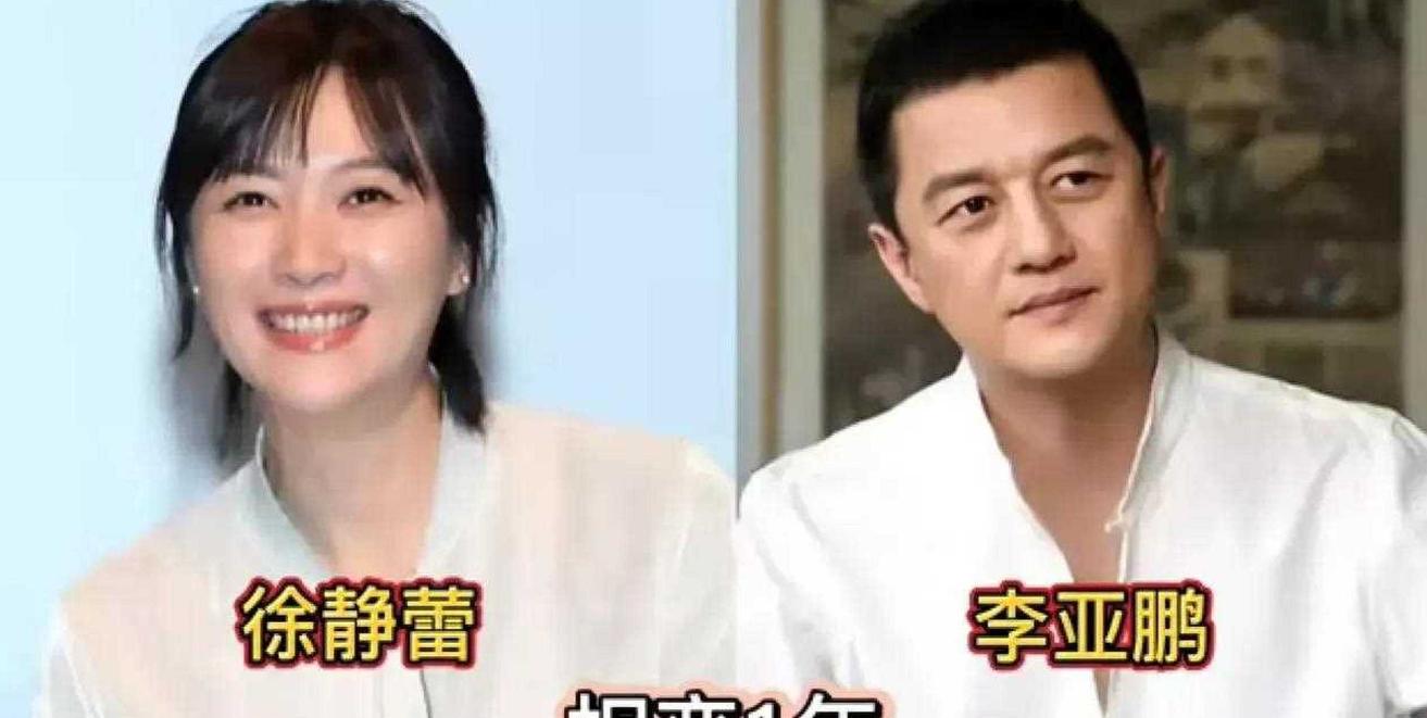 没结婚的大龄女明星有哪些,十大没结婚的大龄女星