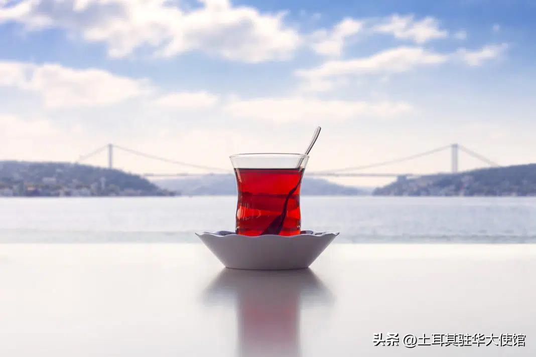 伊斯坦布尔特色,伊斯坦布尔有啥好吃的