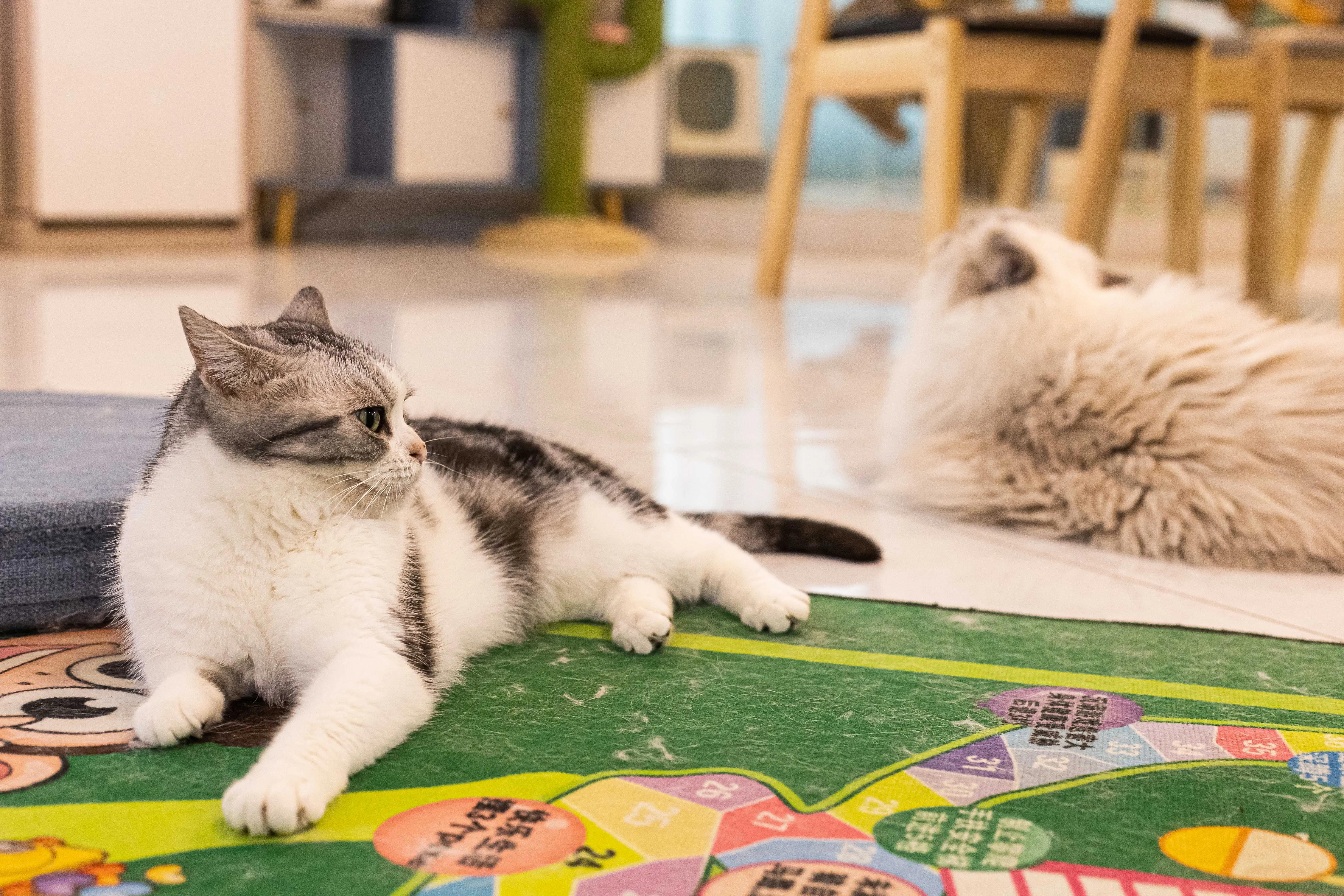 空气净化器最好的是哪一款,空气净化器华为和美的哪个好