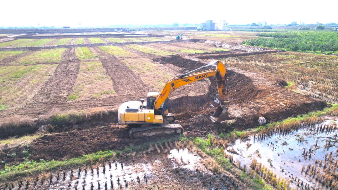 三农洞察小龙虾养殖,2022小龙虾养殖业形势预判