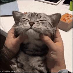 发财后，泰国男子买来12双匡威鞋向财神还愿