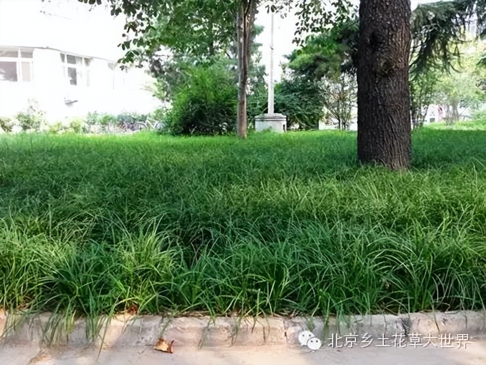 缁挎櫘鏂瑰渾鑺卞崏绉戞妧鏈夐檺鍏徃,缁挎櫘鏂瑰渾