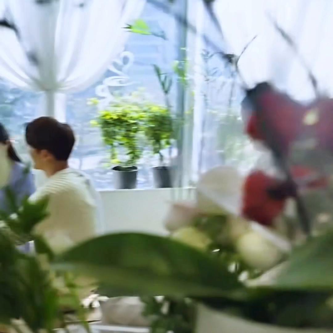 抖音追剧大全,抖音追剧