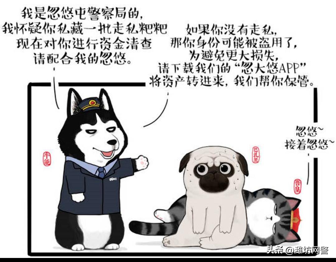 千层套路完整版,历史的千层套路