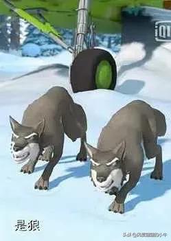 熊出没最厉害的角色,熊出没历代角色大全