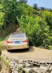 新手为什么不养鳄龟,养了一年的鳄龟怎么一点都不凶