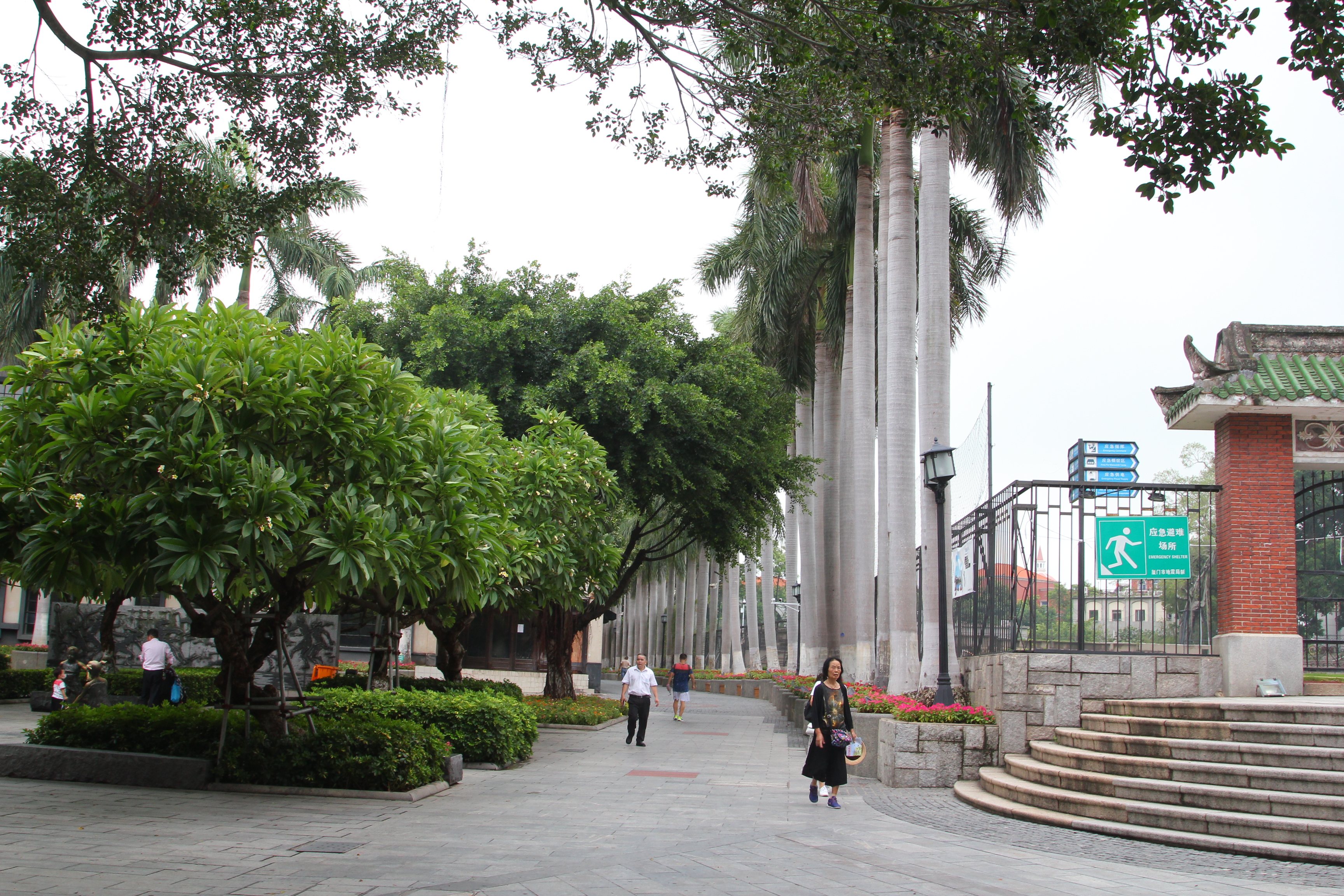 厦门一座来了就不想走的城市,去鼓浪屿不想逛太久