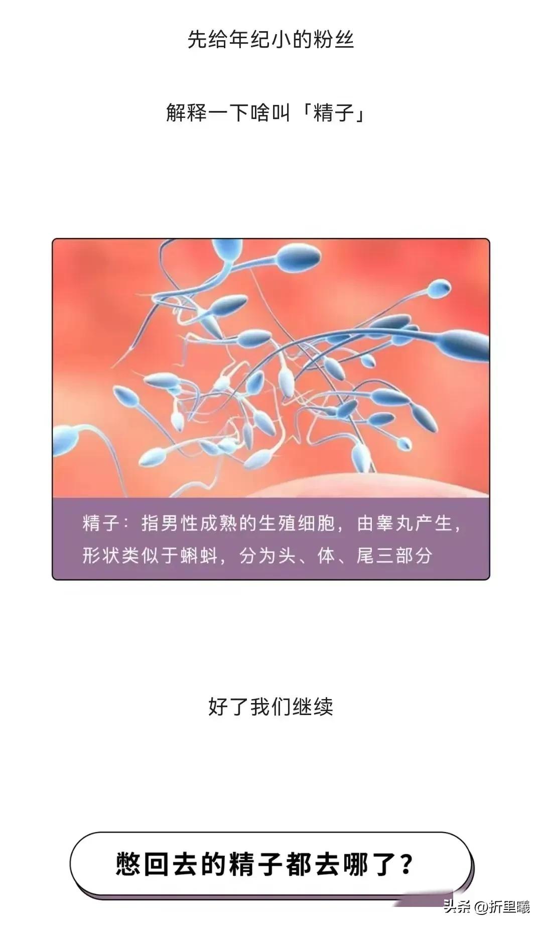 正经的科普视频全集,正经的科普有哪些