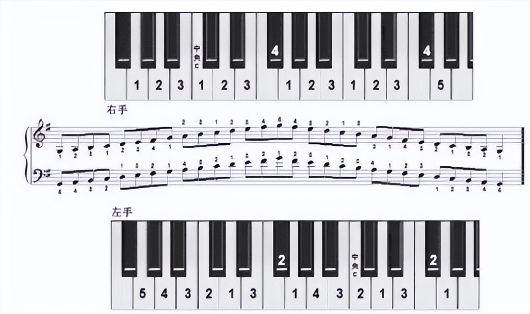 怎么学电子琴61键,怎么学电子琴成人班