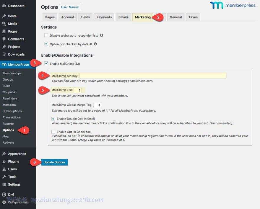 divi使用教程,divi网站搭建