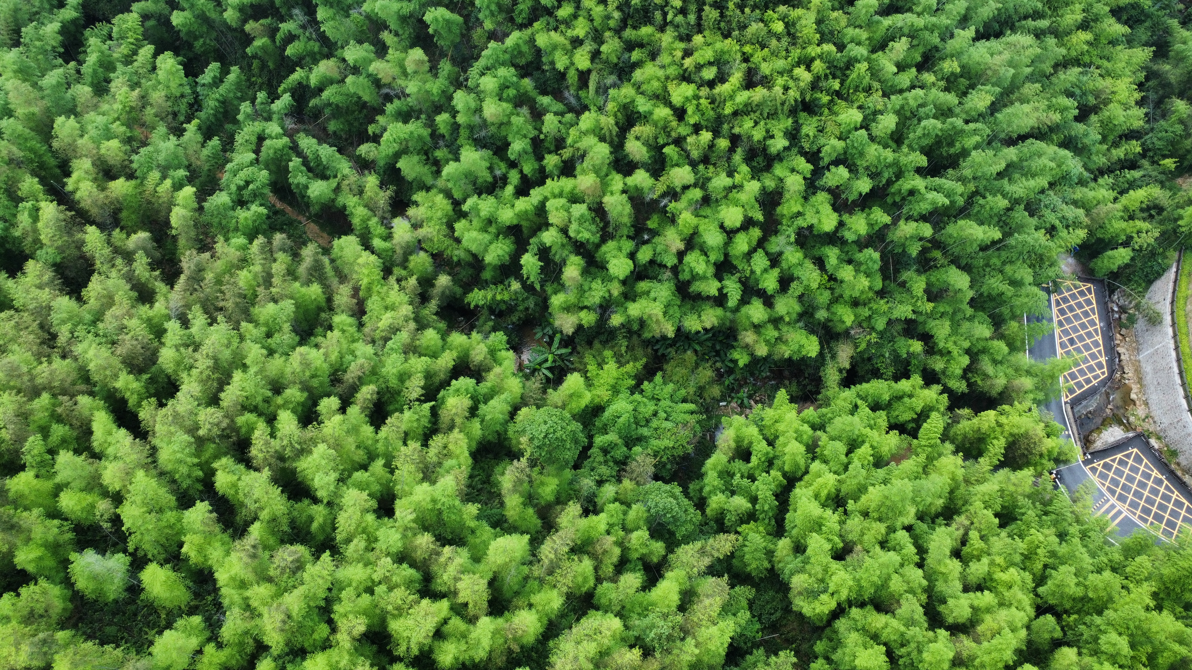 惠州夏日避暑胜地南昆山,惠州南昆山溯溪玩水的地方