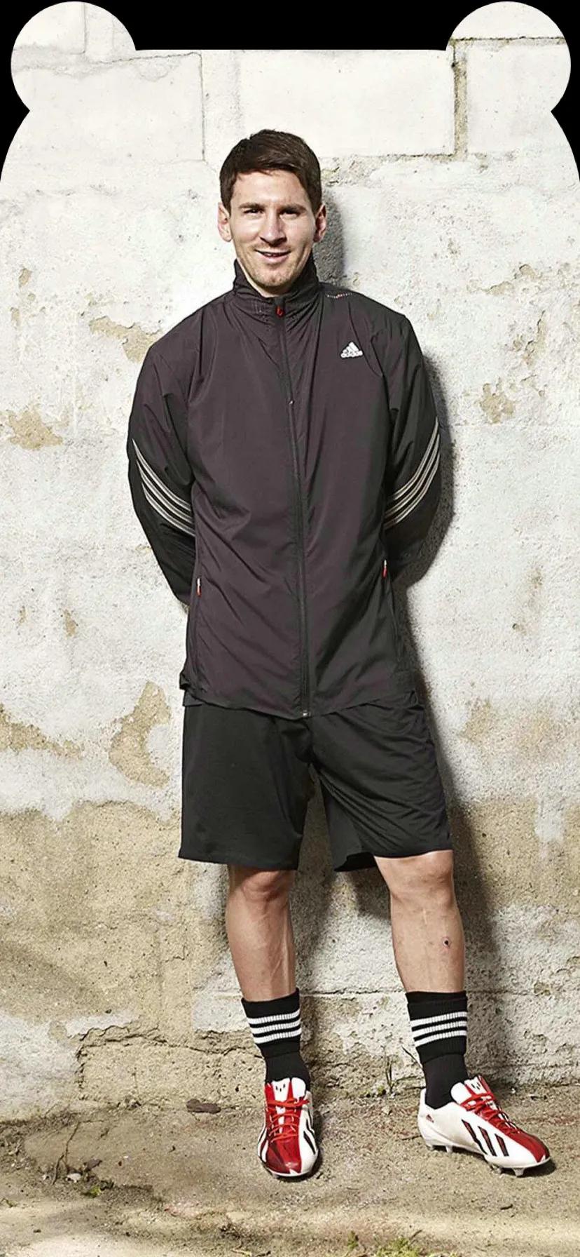 足球狗头壁纸大全,兔耳壁纸高清