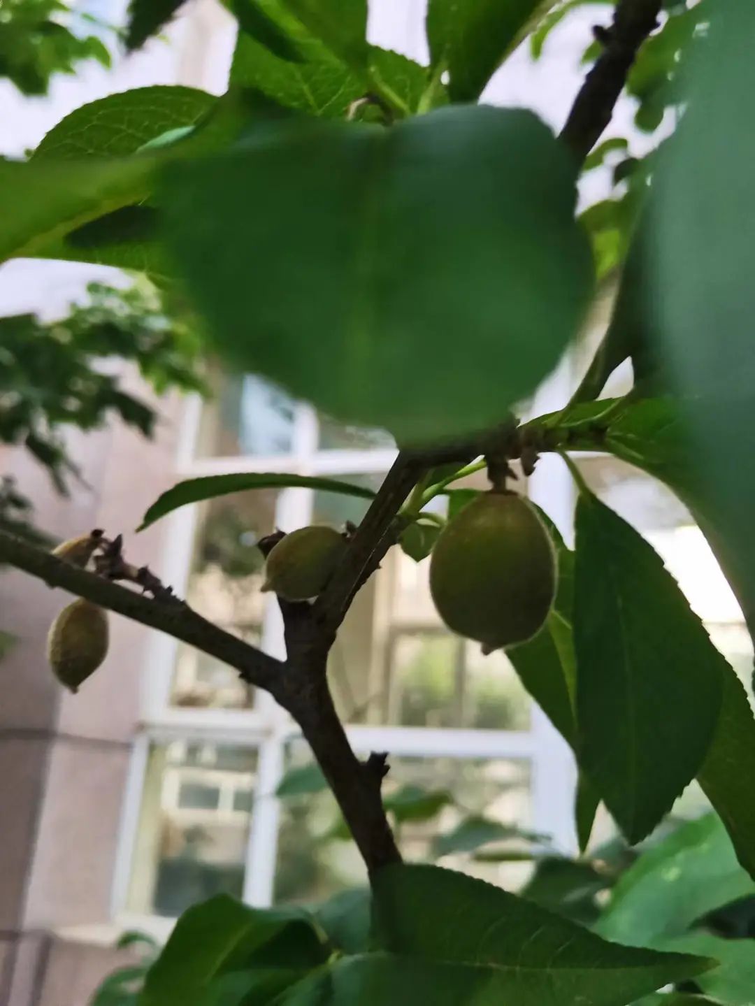 倾听儿童相伴成长主题墙幼儿园,倾听儿童相伴成长幼儿园小班视频