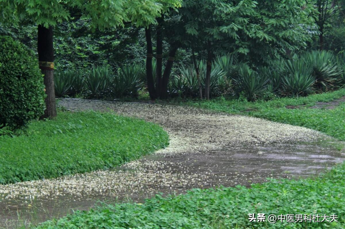 房劳虚损引起的问题,房劳透支引起四肢无力吗