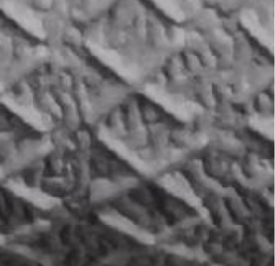 adidas贝壳鞋识货为什么便宜,adidas贝壳头烂大街吗