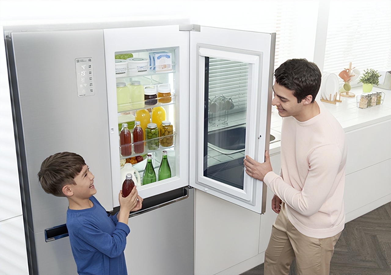 618最值得买的2000内家用冰箱,20004000元爆款大容量冰箱购买指南