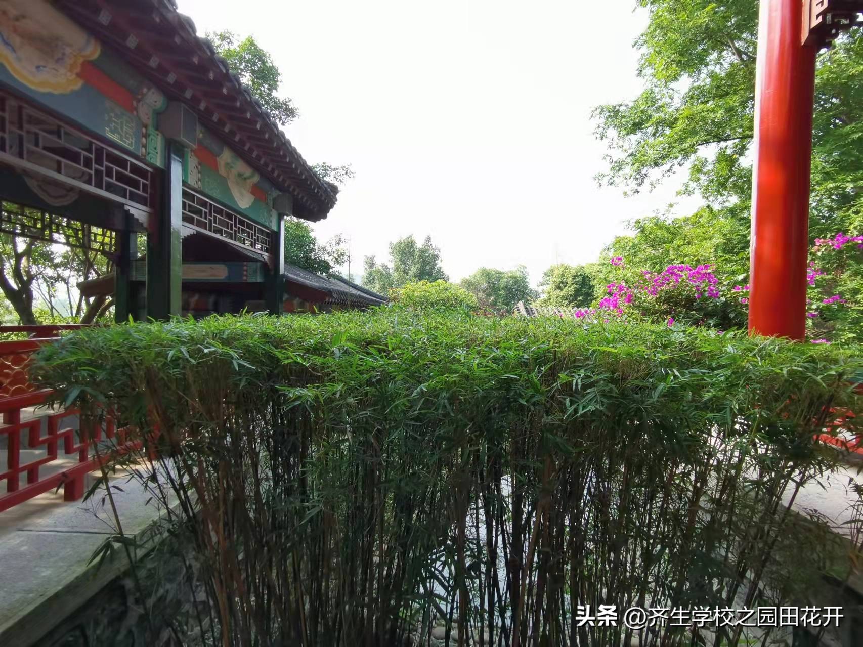 涨知识园林景观设计风格欣赏,园林景观设计的造景手法