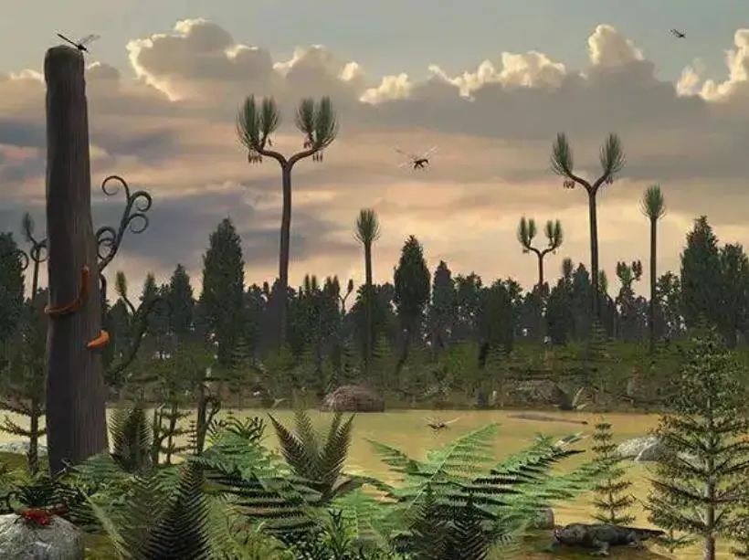 多灾多难，我们的未来还会好吗？