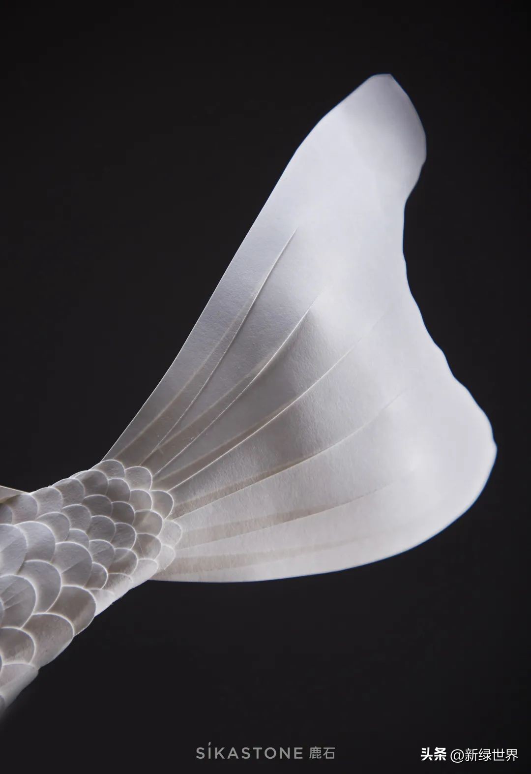 纸艺作品绘画,千变万化的纸艺术作品