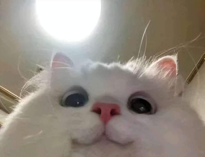 品质决定价值的朋友圈好文案,高端有品位的朋友圈文案