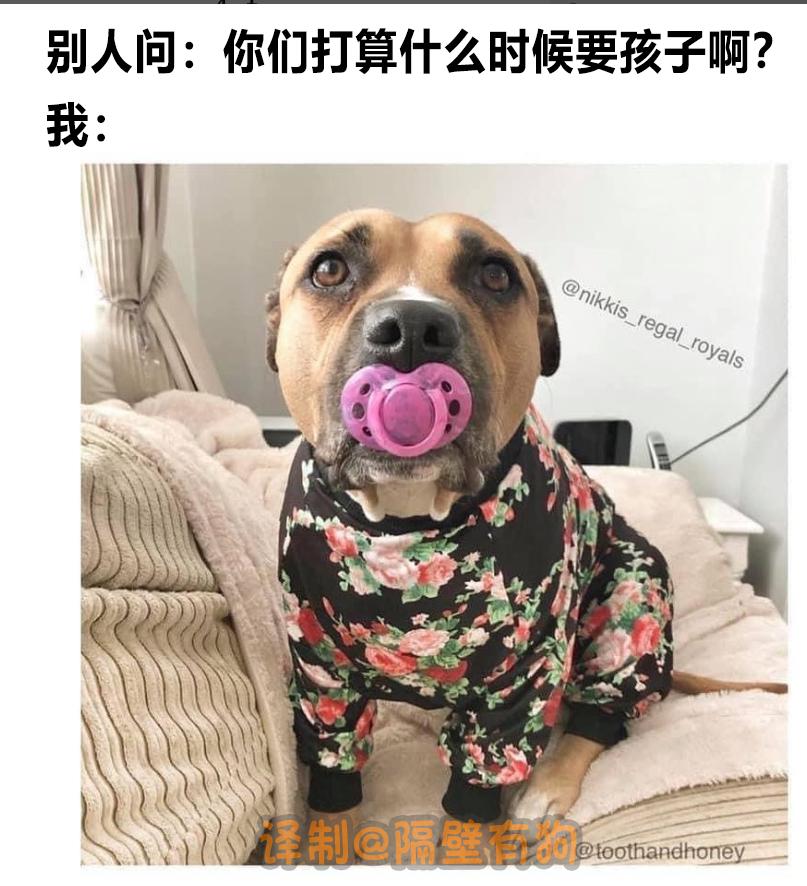 看完恐怖片不敢去最后一间厕所,看完恐怖片转移阵地