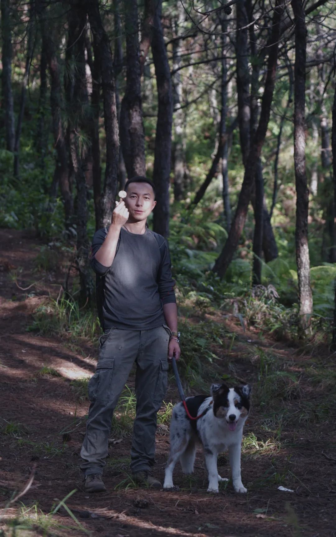 椋熺墿鏁呬簨涓婄瘒,椋熺墿鏁呬簨瑙嗛