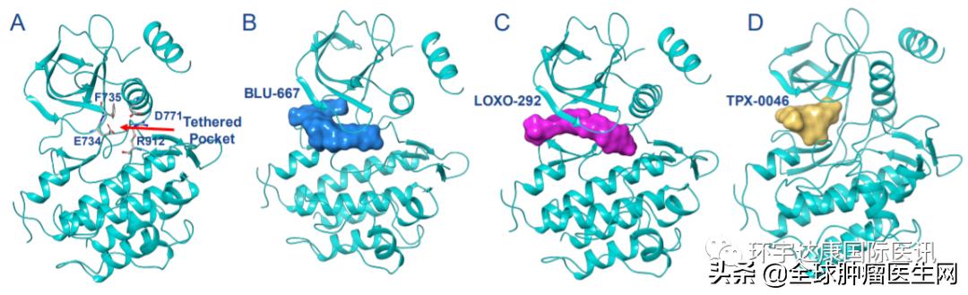 ret非小细胞癌的靶向药,ret基因突变型肺癌靶向药最新