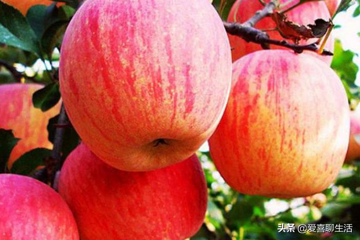 大年初一不能做的事项,大年初一6件事不能做