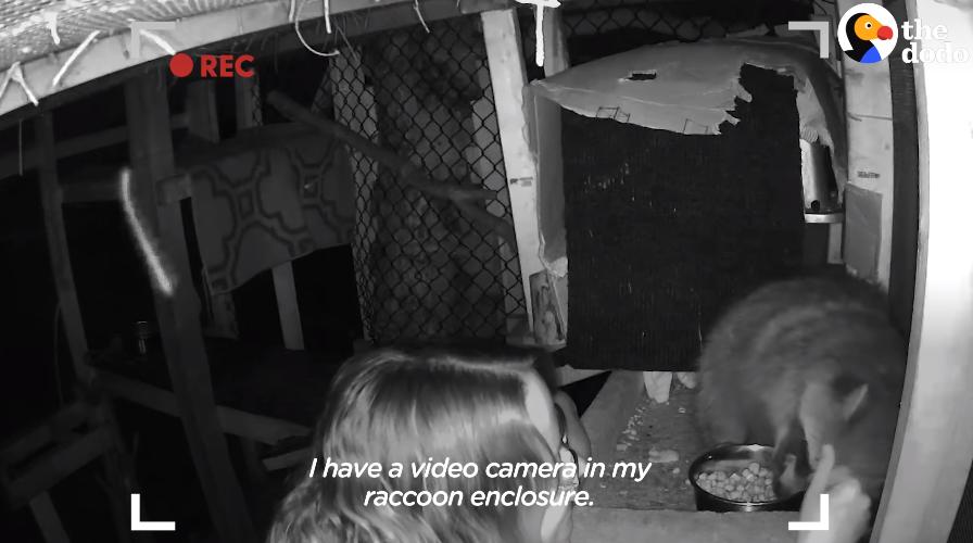 鍔犳嬁澶у皬娴g唺骞煎唇,鍔犳嬁澶у杺鍏诲皬娴g唺