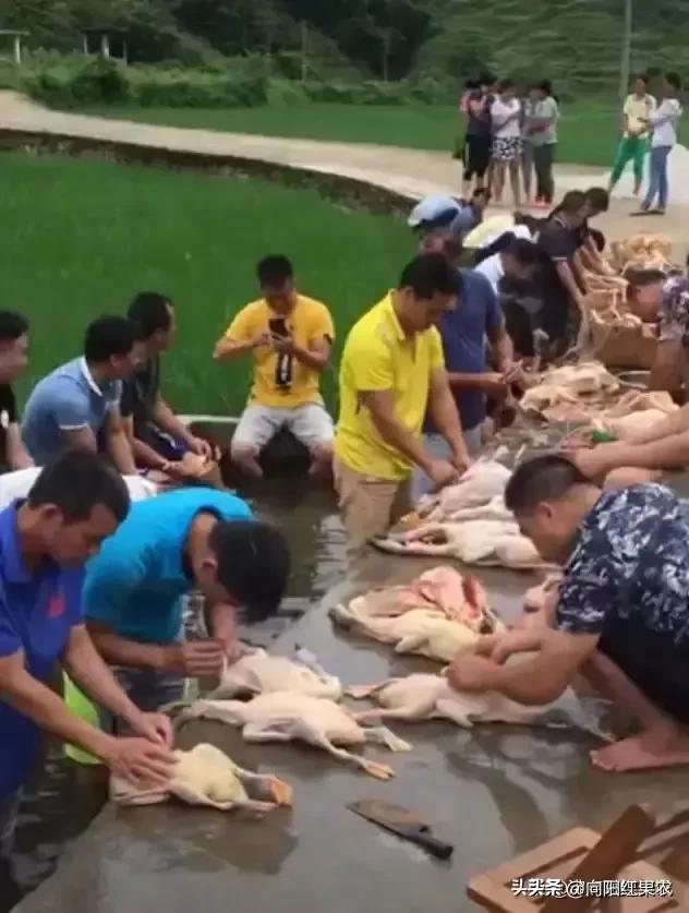 乡土八桂：七月中元话鬼节，吃鸭子、渡河公及其它