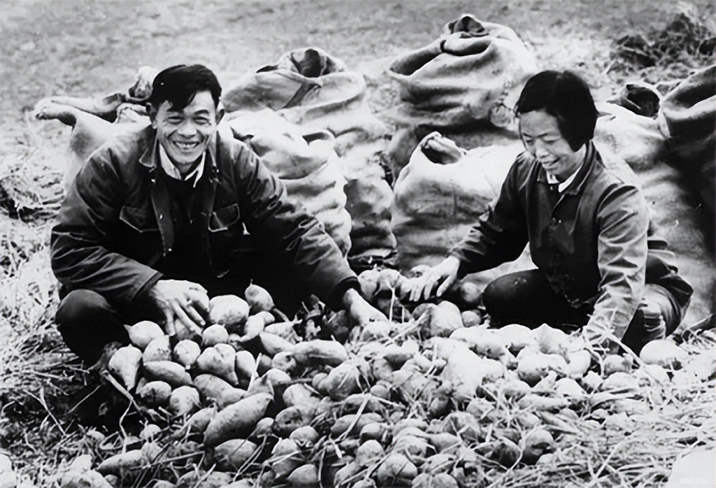 大邱庄景象如何？禹作敏的别墅最为凄凉，门牌被摘，只剩残垣断壁