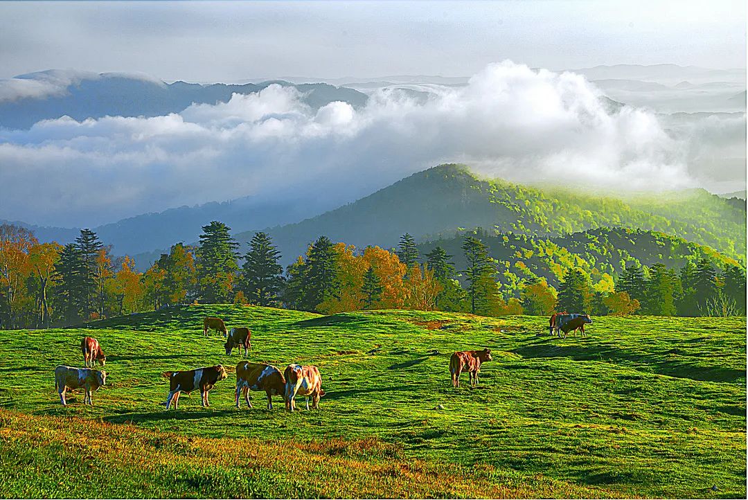 白山市出发五一2-3天短途旅游推荐,冬季白山周边一日游景点大全