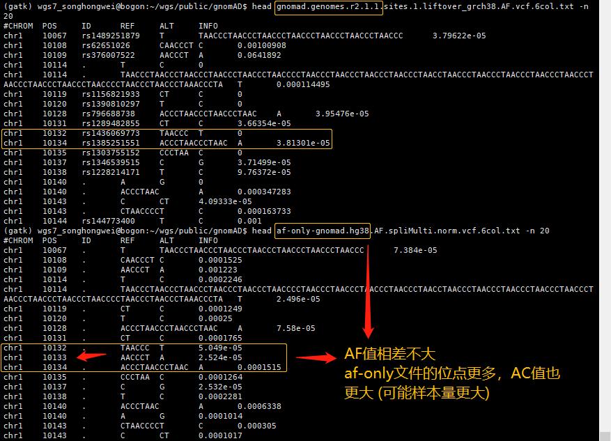 更新|gnomAD人群频率库的*载下**与处理