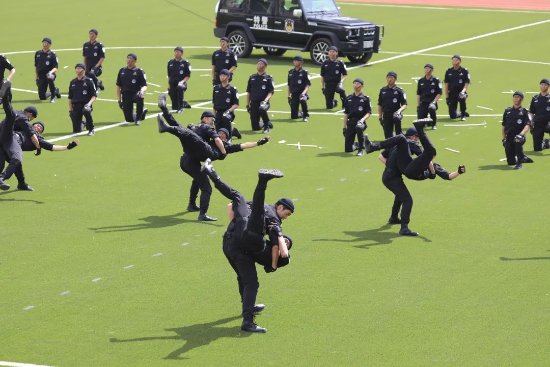 西城区运动会地点,新城区运动会精彩瞬间