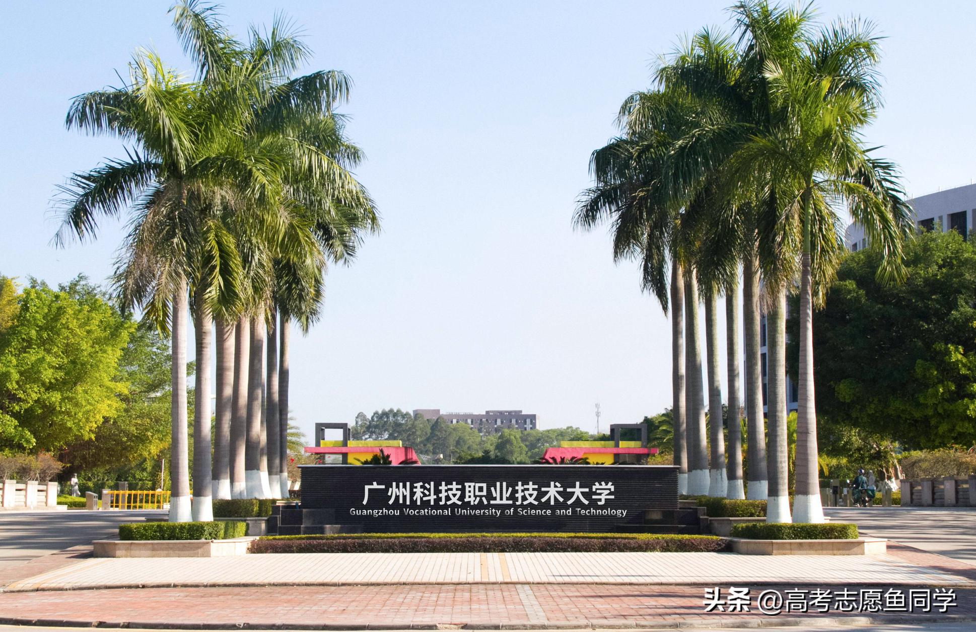 全国最好的十大职业本科学院,就业较好的五所公办本科院校