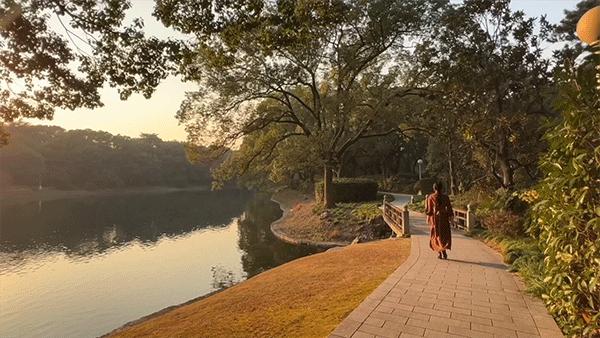 魔都，隐蔽60年的花园酒店，一窗一檐都是故事