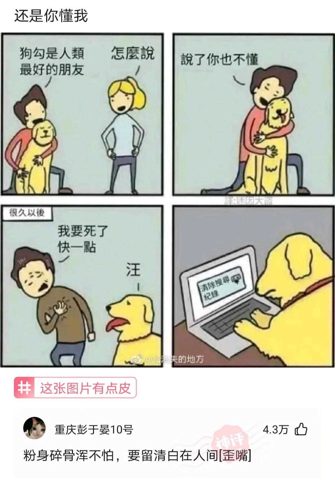 穿泳衣还可以穿内衣吗,穿泳衣和穿内衣有什么不同