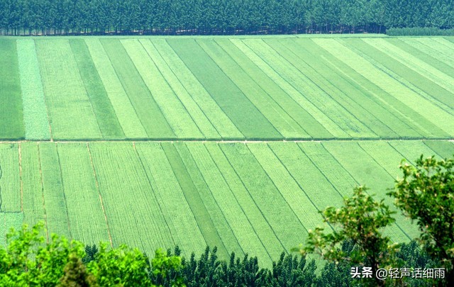 农村土地承包给个人合法吗,农村土地承包种地合算吗