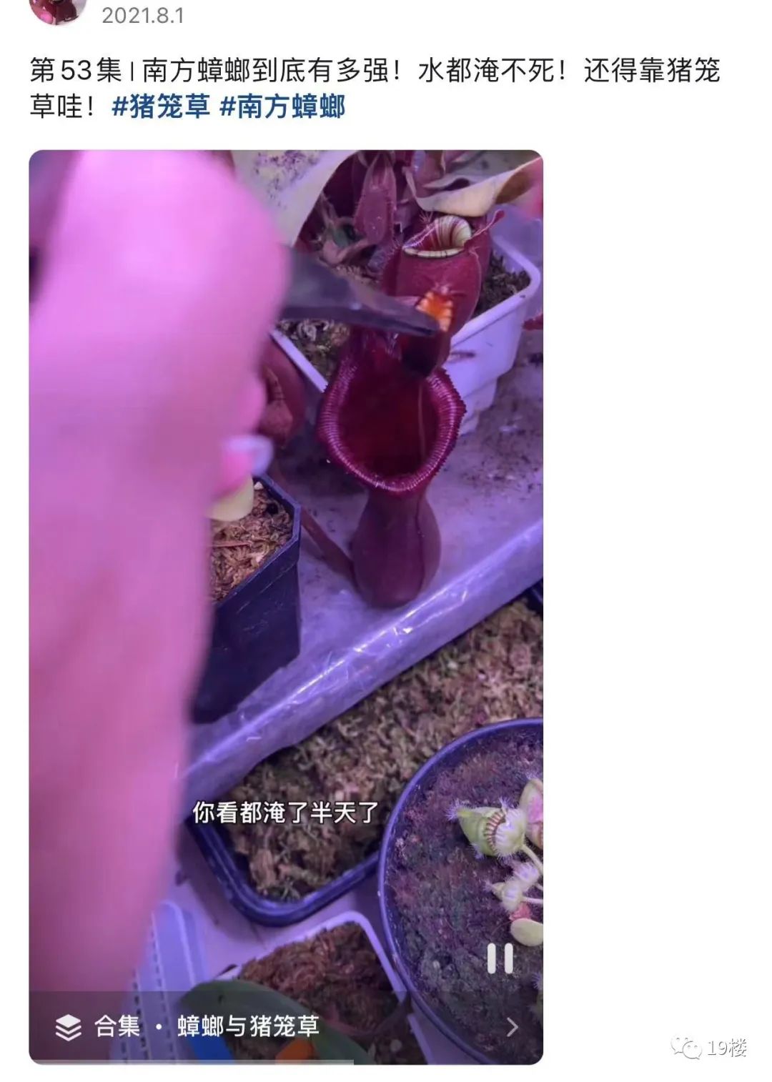 过敏原检测为蟑螂,过敏源是蟑螂过敏怎么办