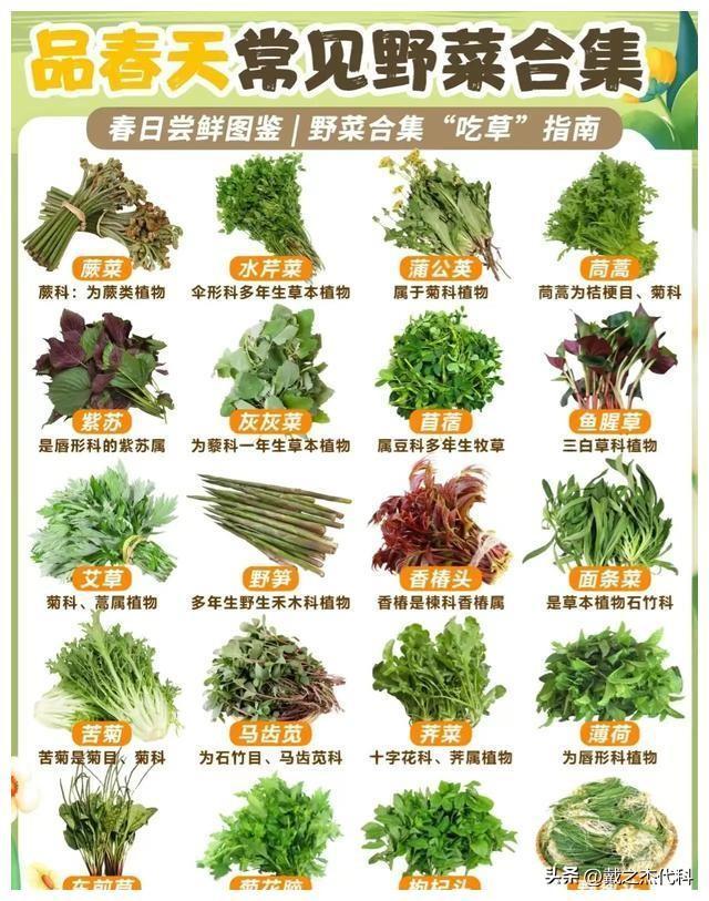 日军在湖南省武冈的暴行,日军闯入村庄暴行视频