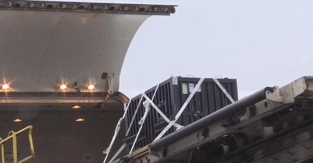 大熊猫香香回国日本民众哭着告别,大熊猫香香回国日本民众哭了