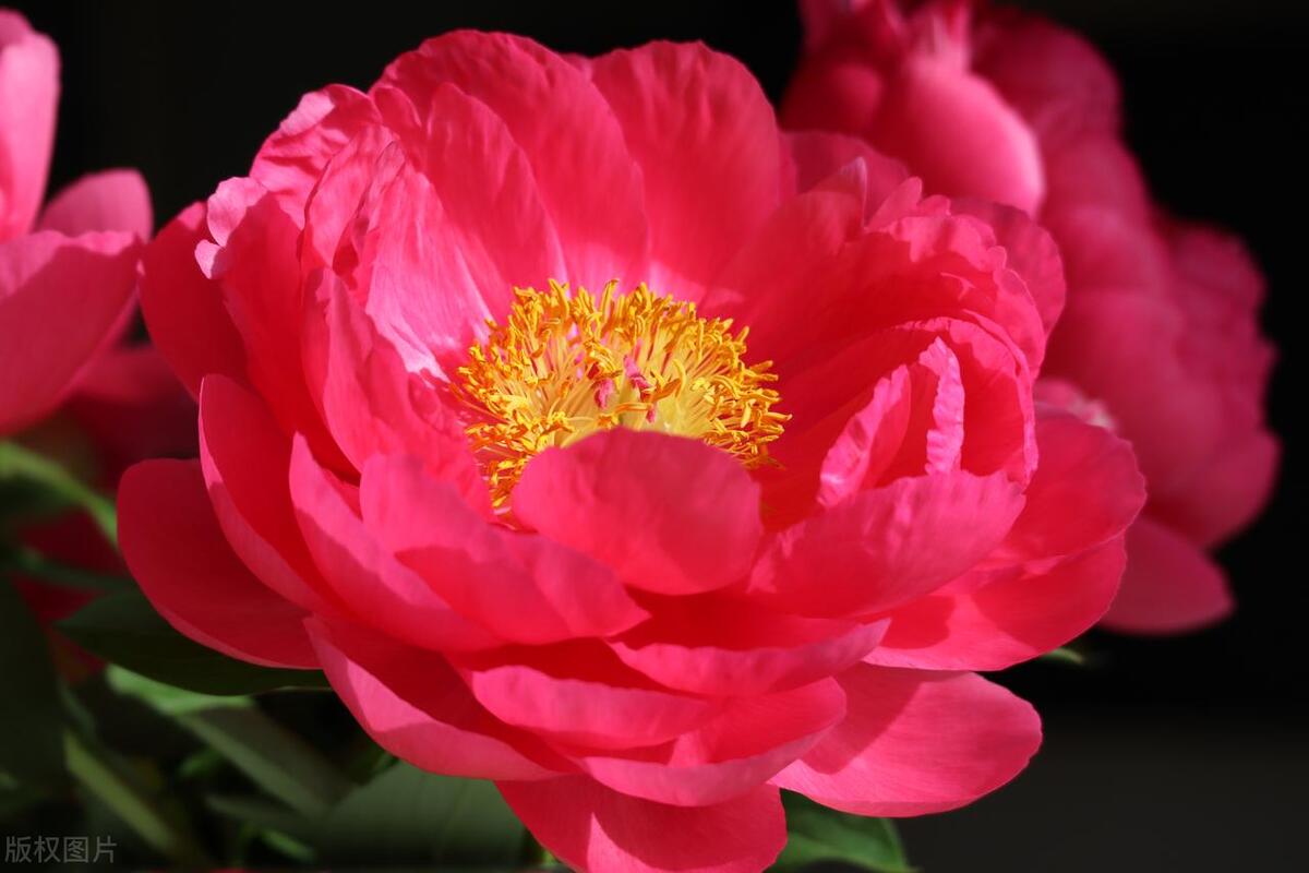 反诈电话提醒是真是假,电话智能反诈功能